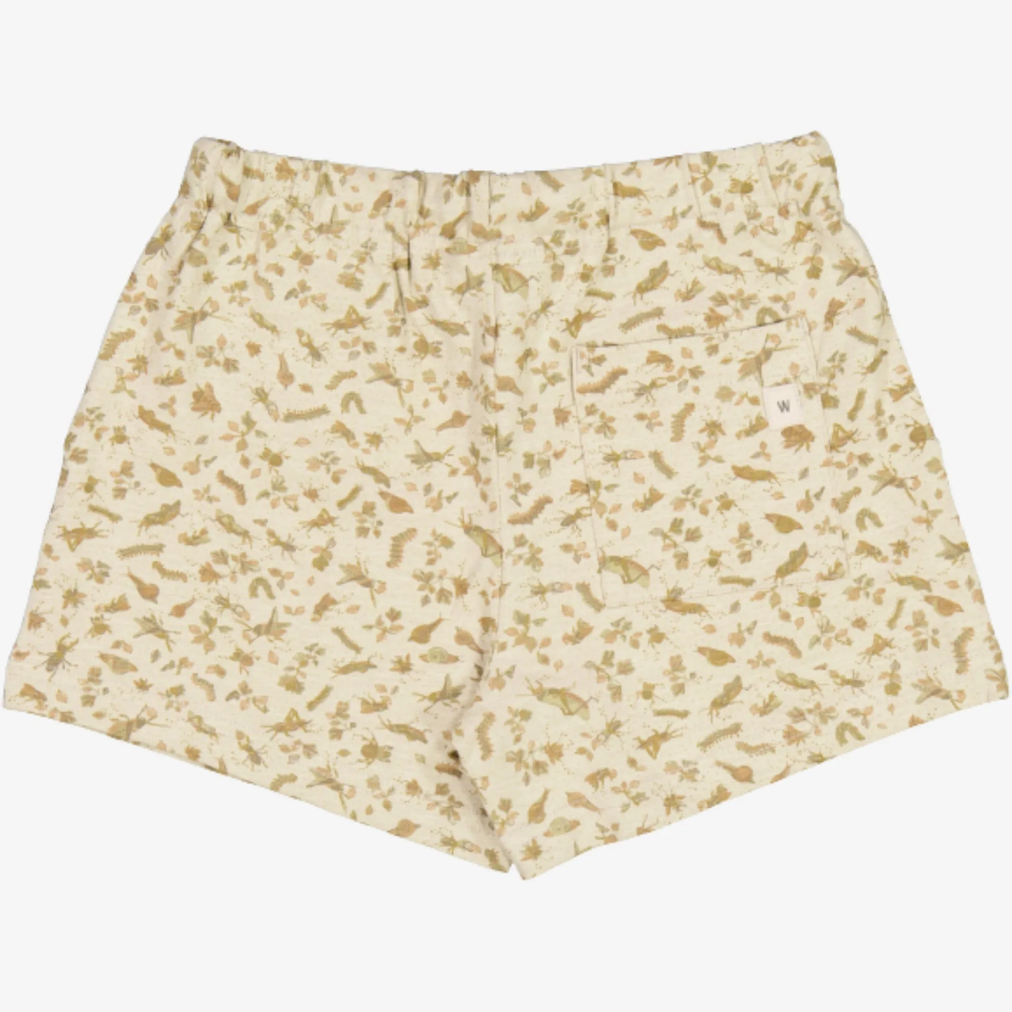 Shorts Kalle - fossil insects